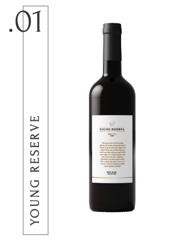 photo_2021-11-24_08-05-00